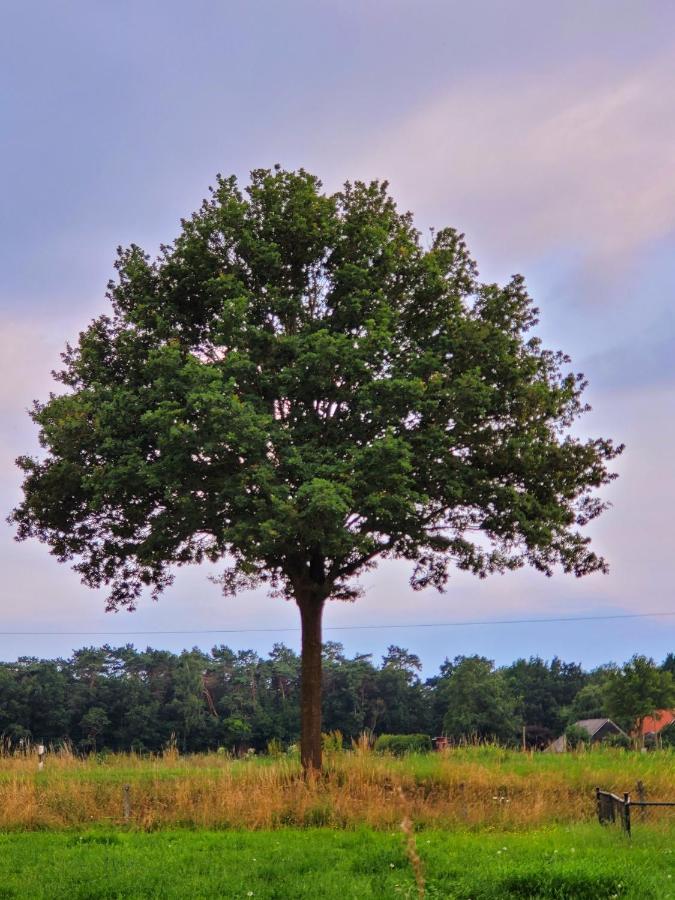 Ferienbauernhof De Slaaphoeve Emlichheim Zewnętrze zdjęcie