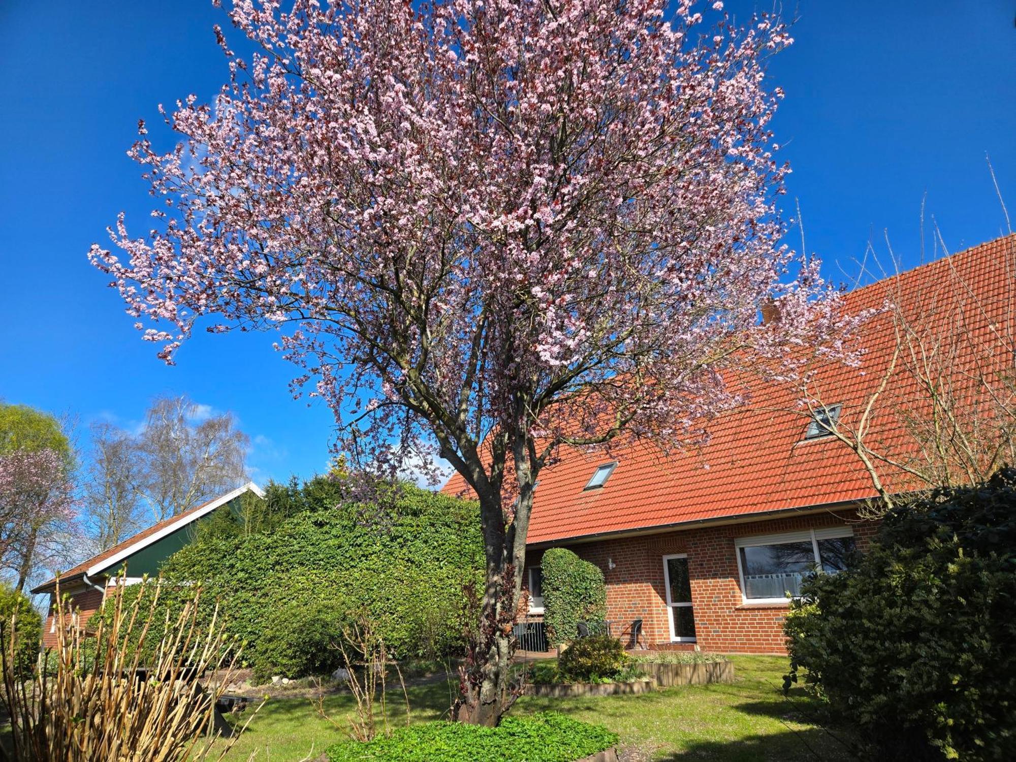Ferienbauernhof De Slaaphoeve Emlichheim Zewnętrze zdjęcie